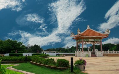 L’astrologie chinoise et les arts martiaux : La voie du guerrier selon les étoiles