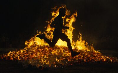 Les signes de feu : Bélier, Lion, Sagittaire – La passion et la créativité