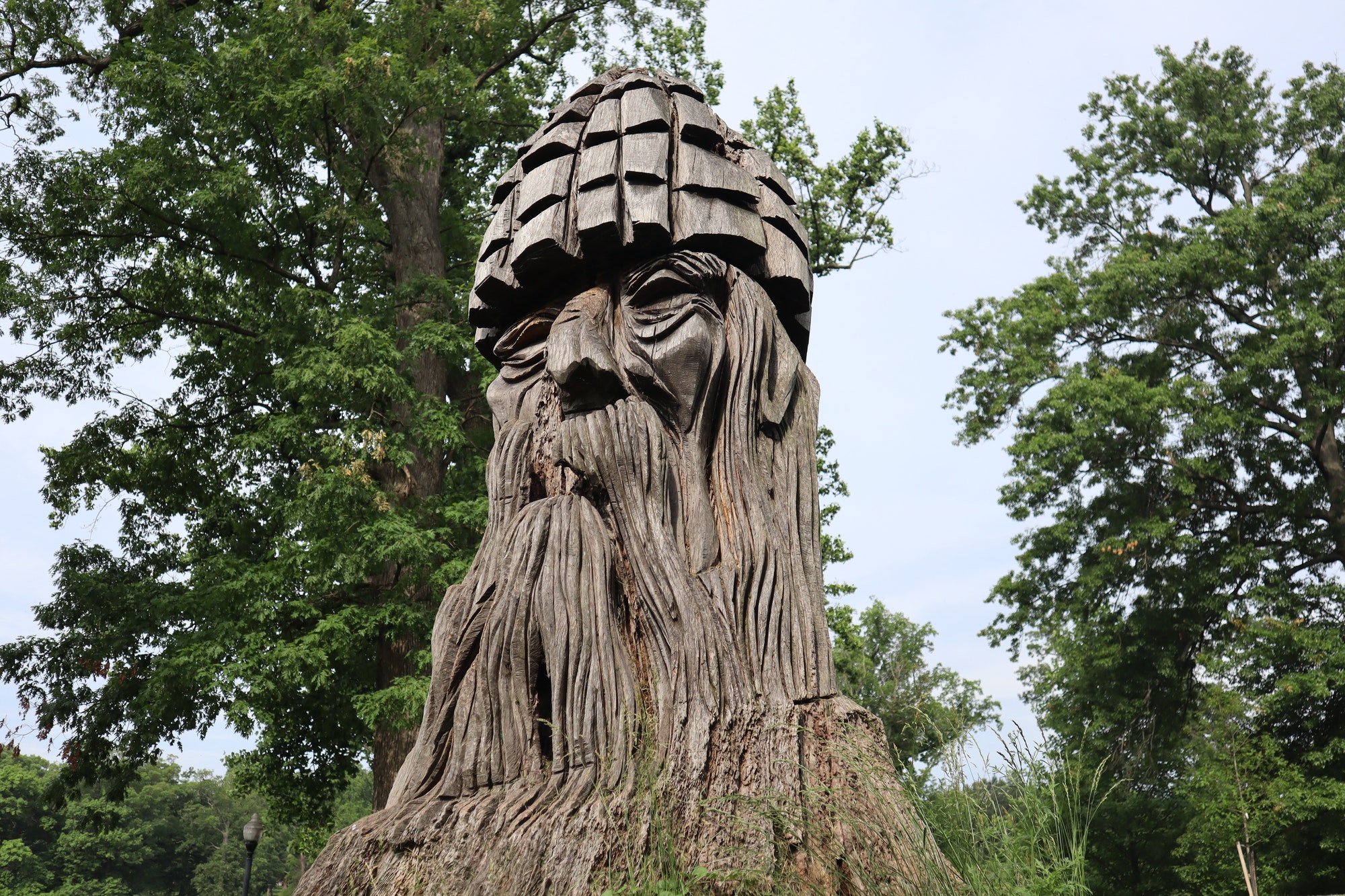 Horoscope druide : La connexion à la nature à travers les cycles lunaires