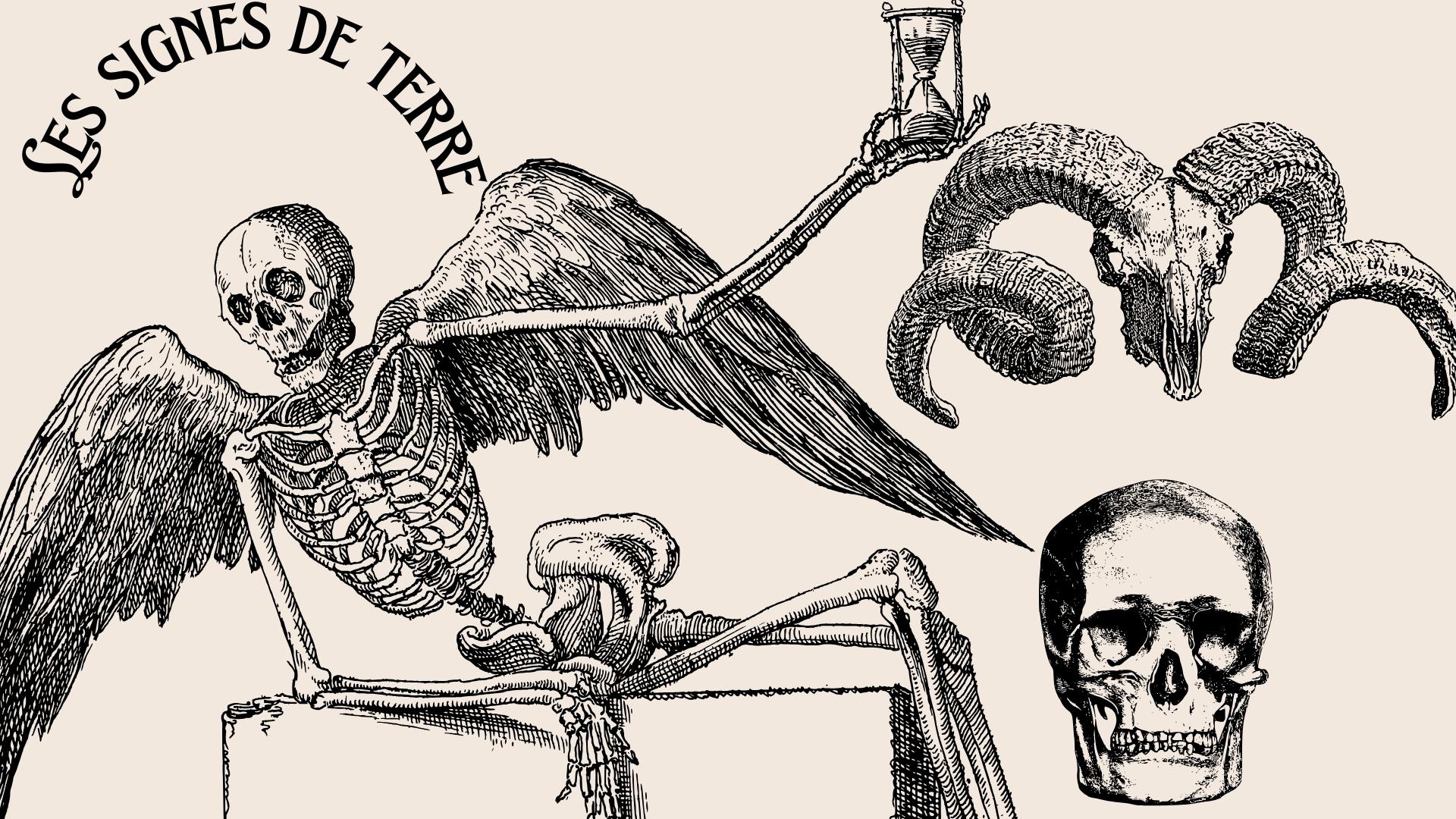 Les signes de terre : Taureau, Vierge, Capricorne – L&rsquo;enracinement dans la réalité